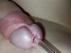 young inserts a tube into the urethra of a small dick