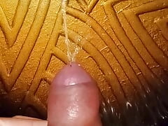 Close up beautiful cock pissing